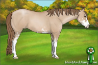 Horse Color:Grullo Pearl Sabino