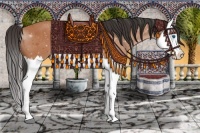 Horse Color:Bay Splash