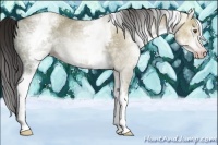 Horse Color:Gray White Spotted Classic Champagne Ice Dun 