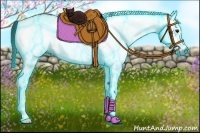 Horse Color:Gray Thunderstruck White Spotted Buckskin 