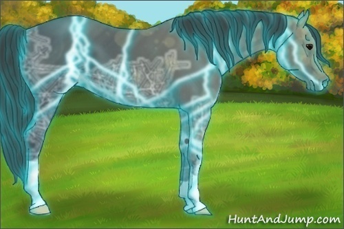 Horse Color: Thunderstruck Black Ice 