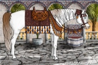 Horse Color:Gray White Spotted Smoky Creme Ice Frame