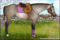 Horse Color:Gray Brown Dun 