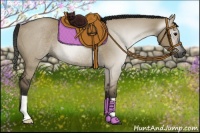 Horse Color:Gray Smoky Grullo Rabicano 