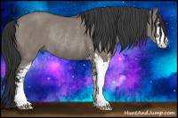 Horse Color:Grullo Sabino Rabicano