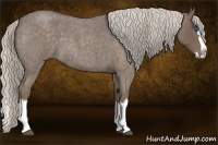 Horse Color:Silver Blue Roan Splash