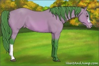 Horse Color:Watercolor Bay Appaloosa 