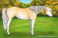 Horse Color:Gray Silver Buckskin Roan Splash 