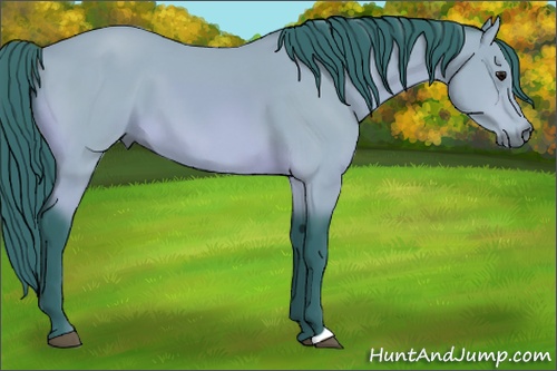 Horse Color: Watercolor Bay 