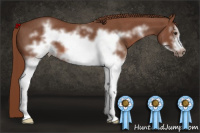 Horse Color:White Spotted Liver Red Roan Frame