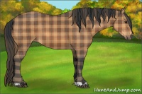 Horse Color:Plaid  Bay 