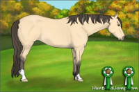 Horse Color:Buckskin Dun 