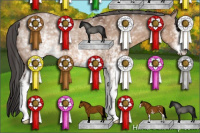 Horse Color:White Spotted Bay Dun