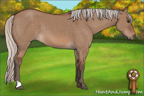 Horse Color: Silver Bay Dun 