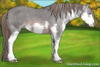 Horse Color:Brown Splash Varnish 