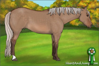 Horse Color:Silver Bay Dun