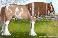 Horse Color:White Spotted Liver Red Dun Splash