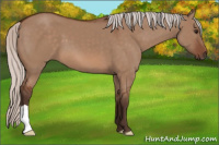 Horse Color:Silver Bay Dun 
