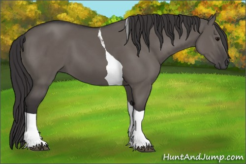 Horse Color:Smoky Grullo Tobiano