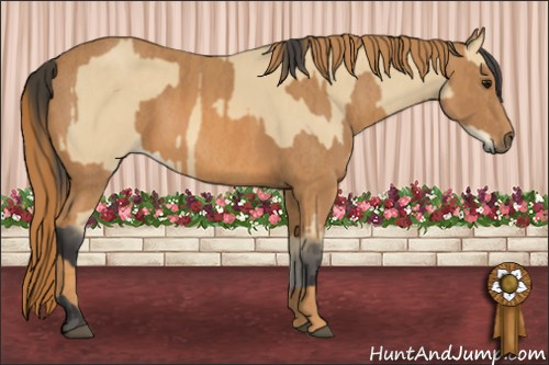 Horse Color: Buckskin  Brindle