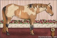 Horse Color:Buckskin  Brindle