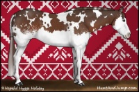 Horse Color:White Spotted Liver Chestnut Splash 