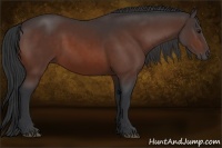 Horse Color:Brown 
