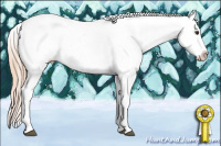 Horse Color:Chocolate Palomino Splash Appaloosa