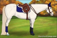 Horse Color:Perlino Dun 