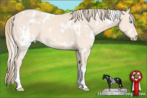 Horse Color: White Spotted Perlino 