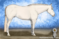 Horse Color:Perlino Dun 