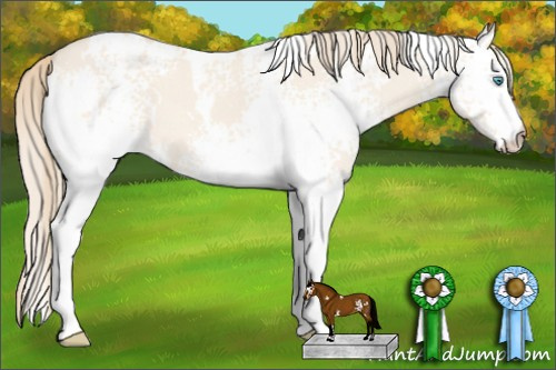 Horse Color: White Spotted Perlino Dun 