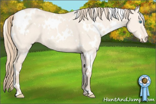 Horse Color: White Spotted Perlino Dun 
