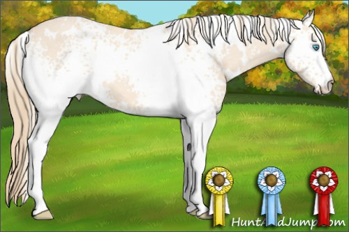 Horse Color: White Spotted Perlino 