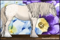 Horse Color:Perlino Splash Frame Brindle