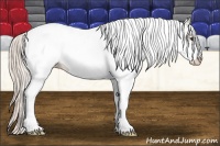 Horse Color:Watercolor White Spotted Silver Bay Appaloosa 