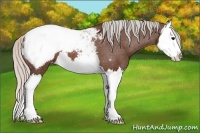Horse Color:Silver Brown Splash Snowcap 