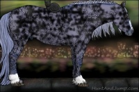 Horse Color:Watercolor Liver Red Dun Ice Sabino 