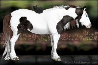 Horse Color:Liver Chestnut Ice Sabino Splash Tobiano 