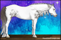 Horse Color:Grullo Ice Splash Tobiano Frame Varnish 