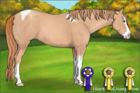 Horse Color:Gold Champagne Splash Tobiano 
