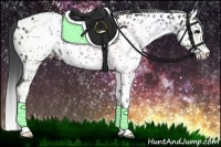 Horse Color:White Spotted Black Splash Frame Appaloosa Rabicano