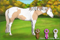 Horse Color:Gold Champagne Splash Tobiano