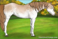 Horse Color:White Spotted Chestnut Pearl 