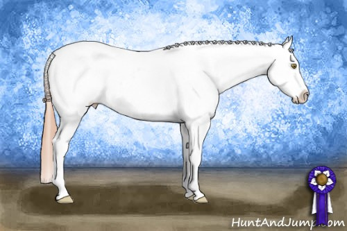 Horse Color: Gold Champagne Splash Tobiano Blanket 
