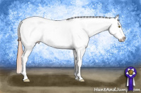 Horse Color:Gold Champagne Splash Tobiano Appaloosa 