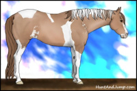Horse Color:Black Pearl Sabino Tobiano 