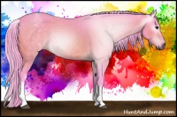 Horse Color:Gray Watercolor White Spotted Bay 