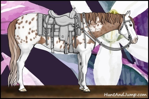 Horse Color: Chestnut Splash Near Leopard 