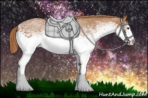 Horse Color: White Spotted Chestnut Splash 